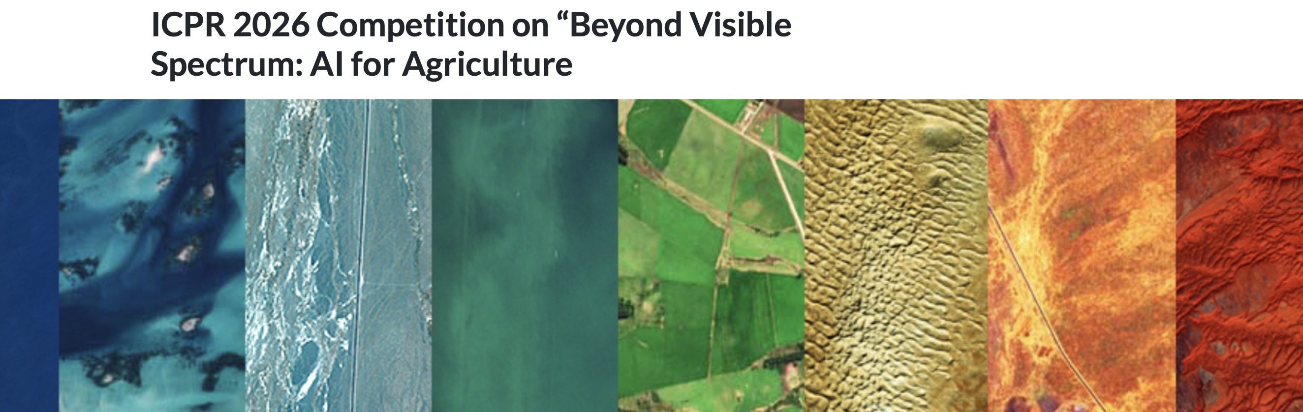 ICPR 2026 Contest: Beyond Visible Spectrum: AI for Agriculture 2026 Task: Boosting automatic crop disease classification using Sentinel-2 satellite imagery and self-supervised learning (SSL)